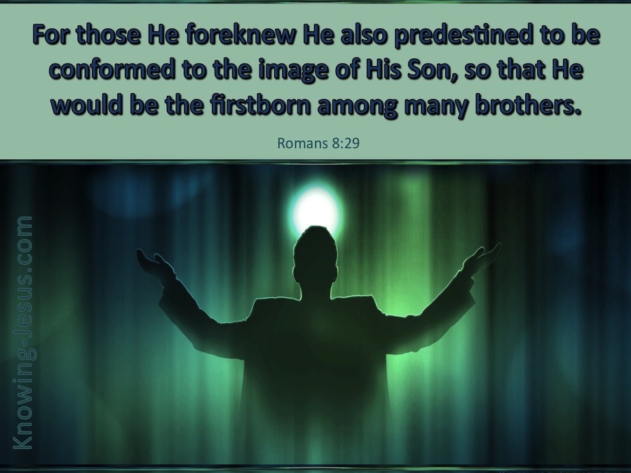Romans 8:29 Conformed Into The Image Of Christ (green)
